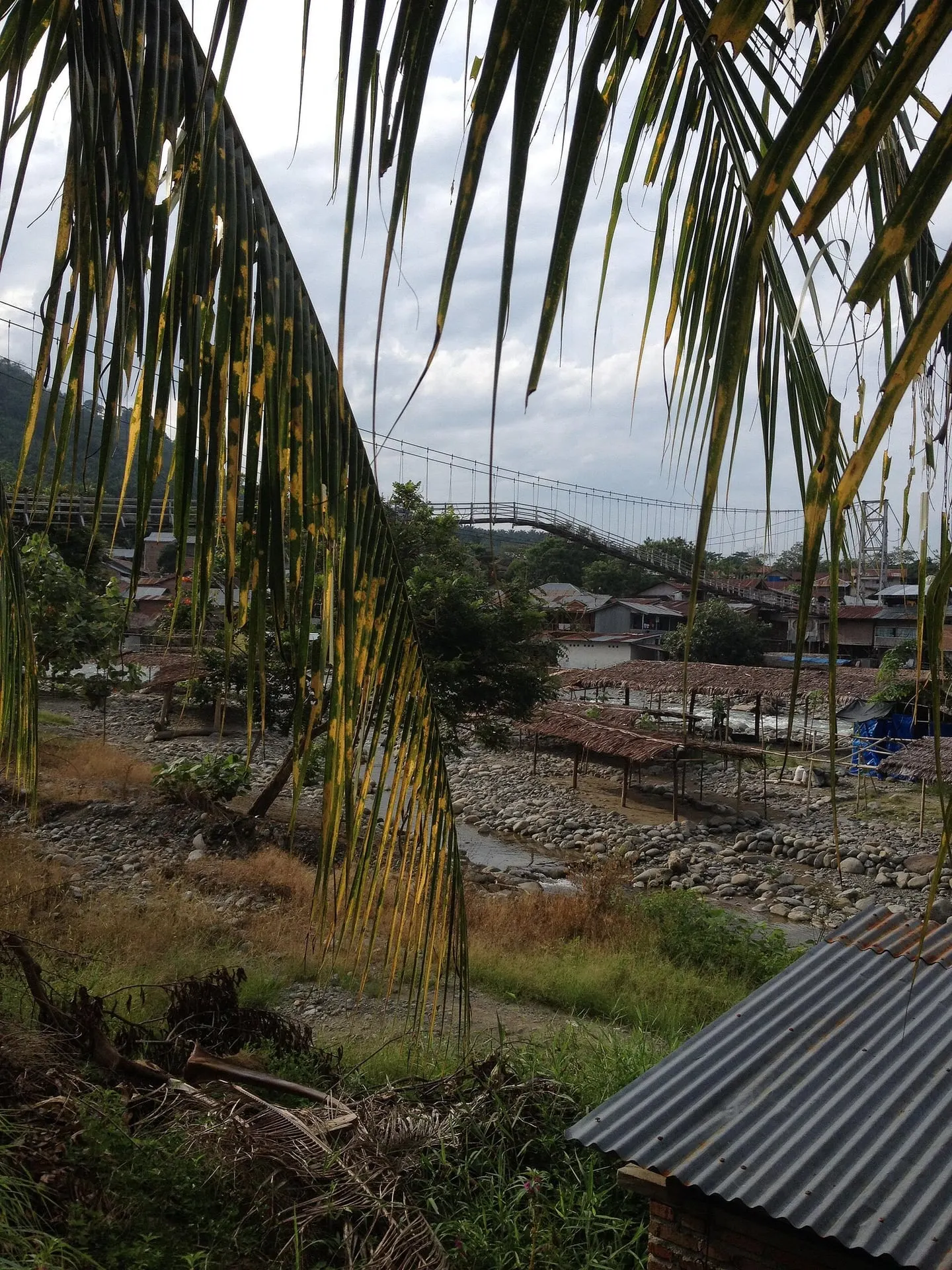 View of the village and the bridge over the Bohorok River through palm leaves