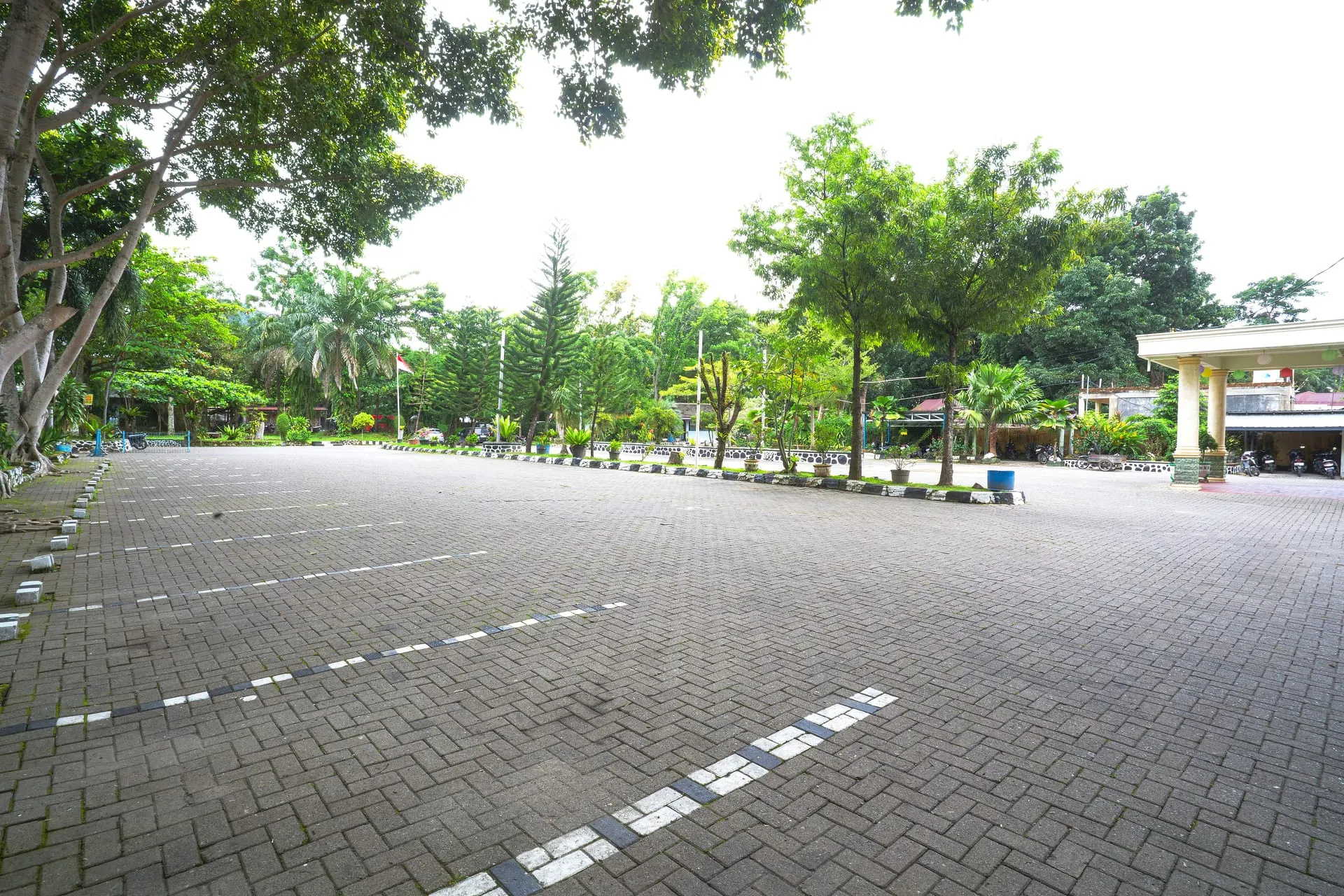 Open parking area surrounded by trees