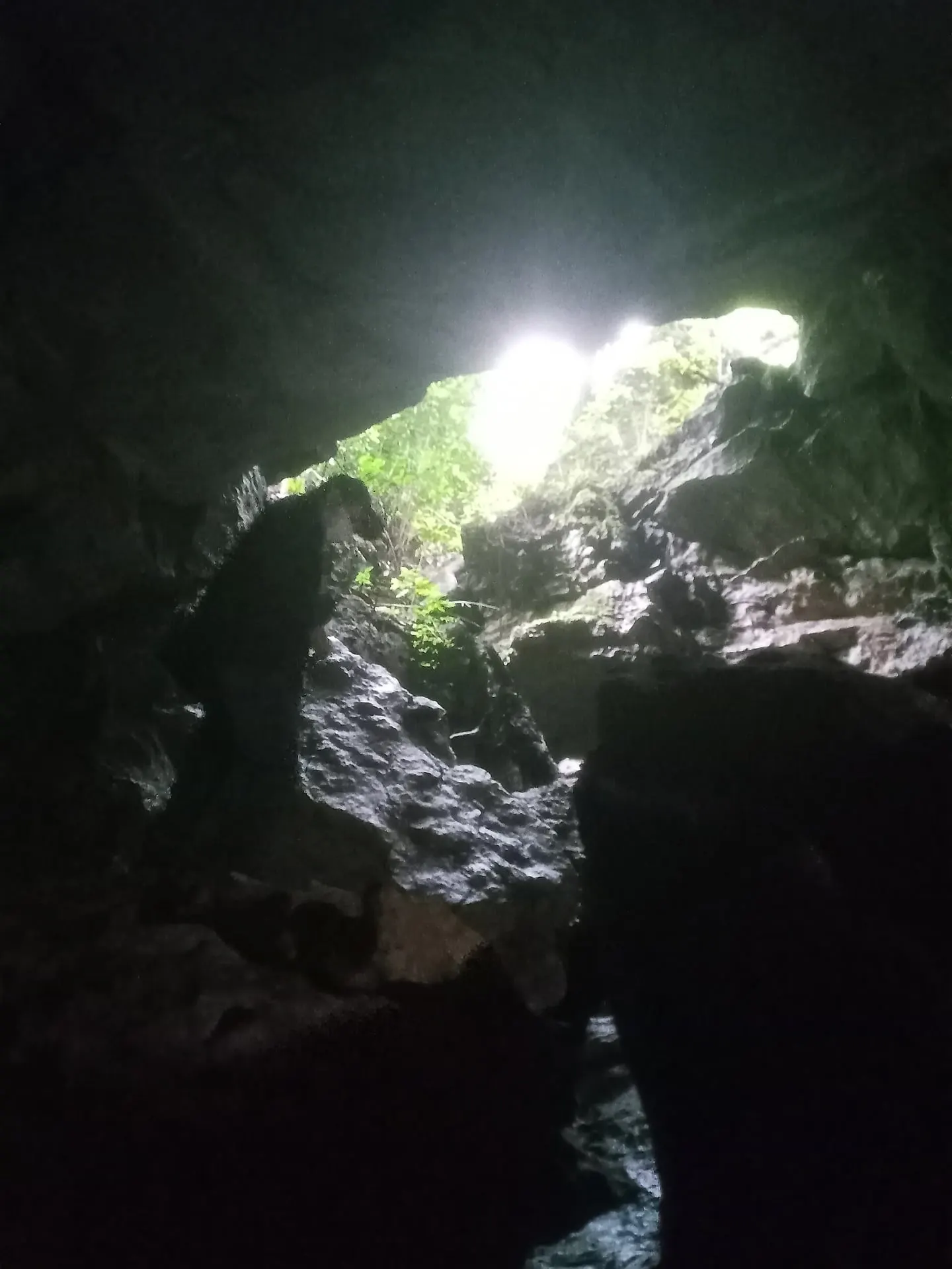 Daylight entering the Bat Cave (Gua Kelelawar)